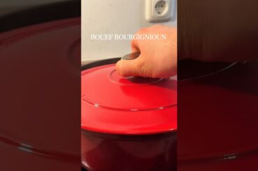 Bouef Bourgignioun 🥩🇫🇷 #frenchfood #beefrecipe #redwine #frenchcuisine