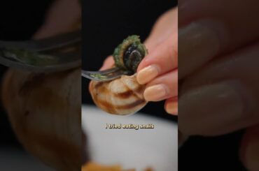 I tried eating SNAILS in Paris and... 😬 #escargot #travelguides