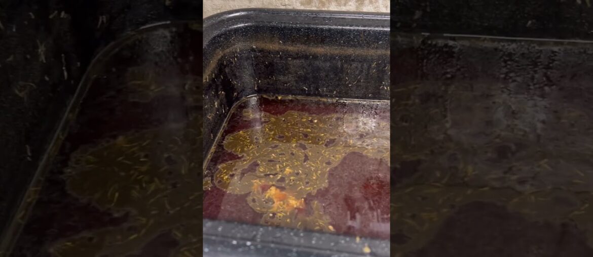 Canning bistro French onion soup