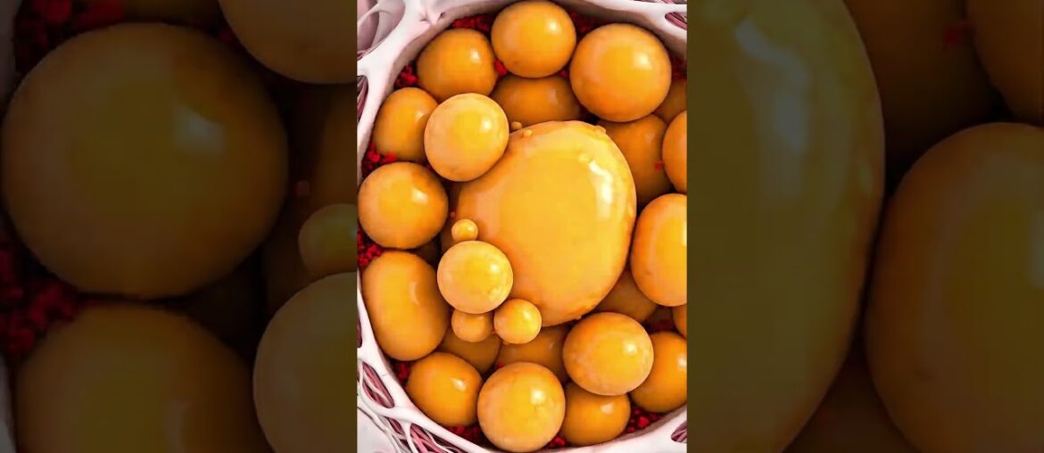 The Dark Truth Behind Grilled Bone Marrow #shorts The Dark Truth Behind Grilled Bone Marrow #shorts