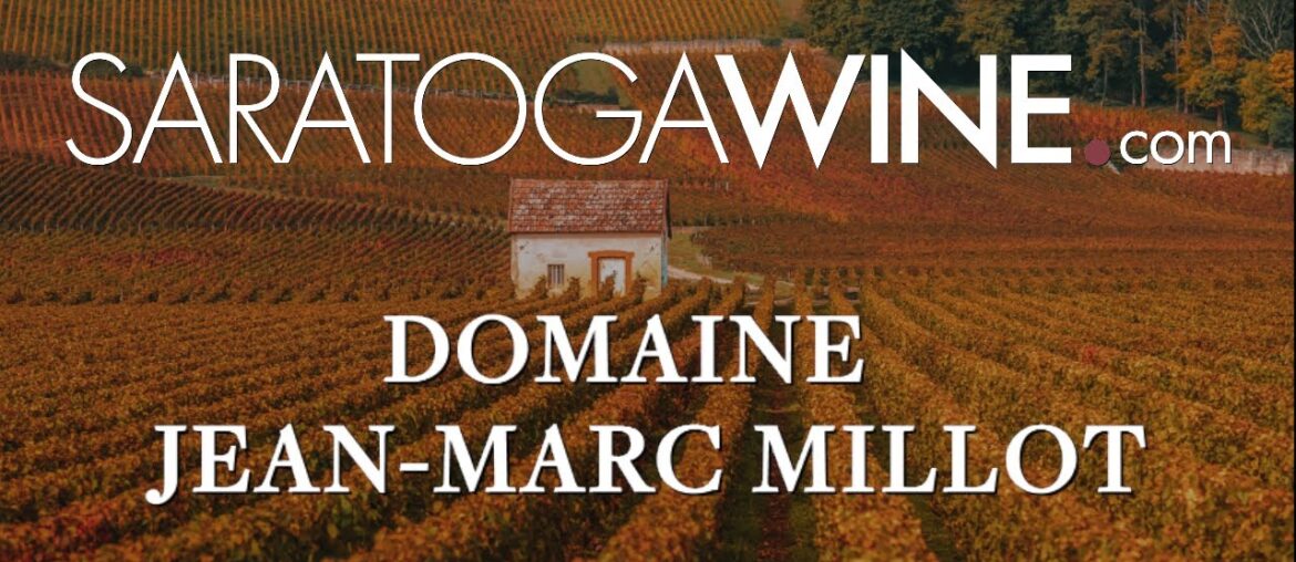 The BEST Value Pinot Noir from Burgundy? (Jean-Marc Millot Review) 🍷