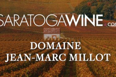 The BEST Value Pinot Noir from Burgundy? (Jean-Marc Millot Review) 🍷