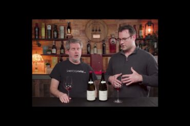 The BEST Value Pinot Noir from Burgundy? (Jean-Marc Millot Review) 🍷