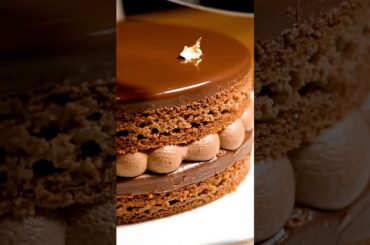 The Glossiest Opera Cake Slice ✨ (Satisfying) #operacake #cakeasmr #frenchpastry #visualasmr #asmr