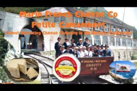Marin French Cheese Co Petite Camambert Oldest Operating Cheese Company in US History (California)