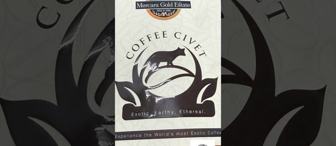 Coffee Civet | Mercara Gold Estate Coorg | Coffee Tasting | Caffeinated.       Bike