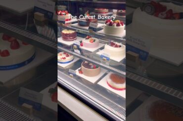 Cutest Bakery French Baguette 🍰🥖#shorts #bakery #pastry #pastries #frenchbaguette #aesthetic #cute