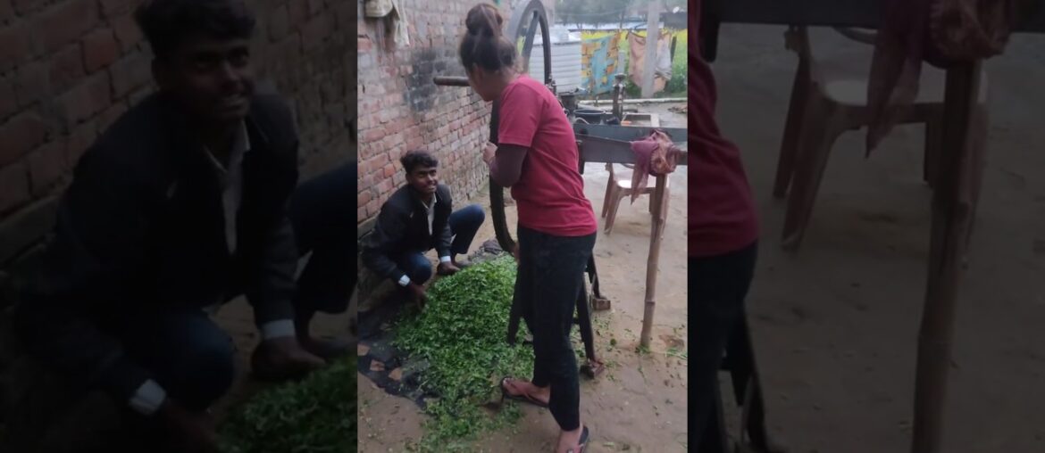 Aaj hm banaye french fry #trending #food #recipe #shorts #minivlog