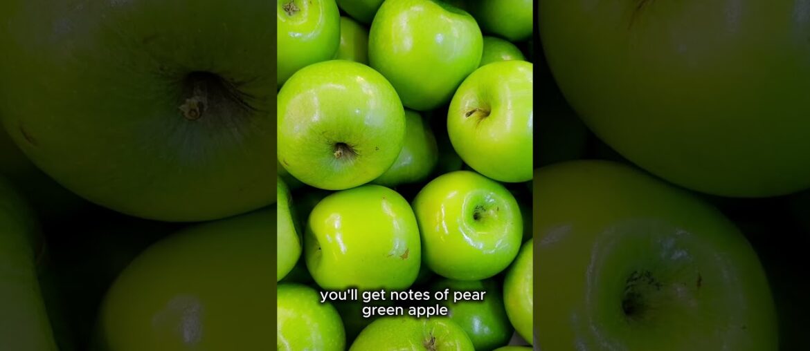 C is for Chenin Blanc for the ABCs of wine varietals! #wine #frenchwine #cheninblanc #winelover