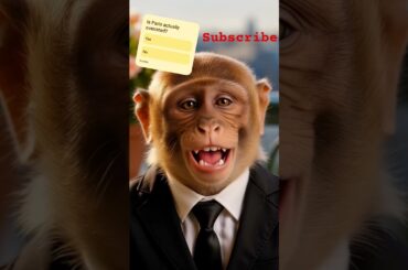 Me after one glass of French wine. #ai #cute #wine#monkey #vines