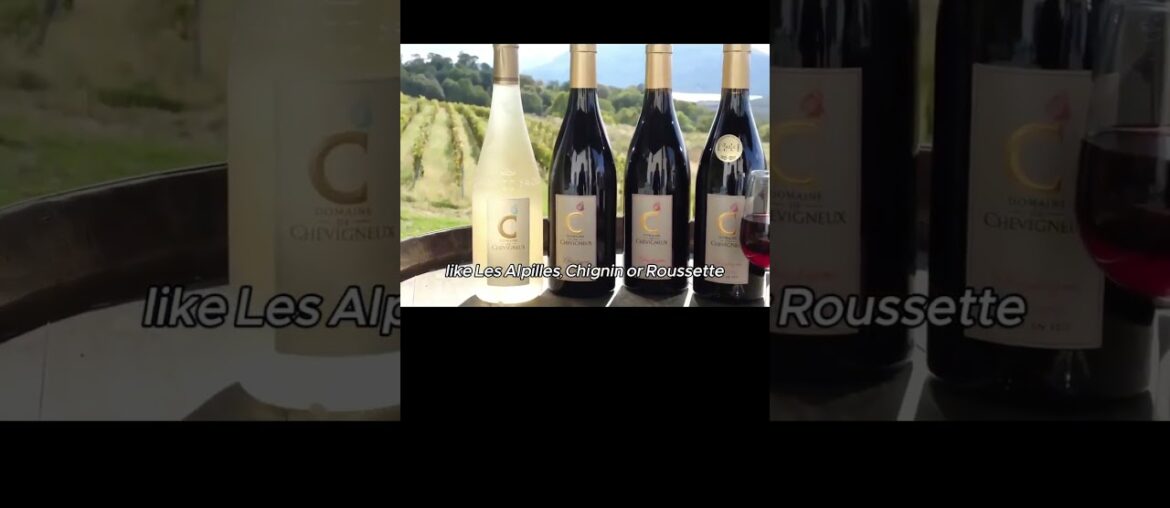 French Alps in Winter: A Cinematic Journey Part 10#frenchrecipe #tartiflette #frenchalps #frenchwine