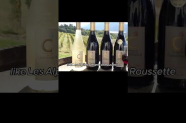 French Alps in Winter: A Cinematic Journey Part 10#frenchrecipe #tartiflette #frenchalps #frenchwine