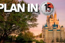 Disney World Explained in 15 Minutes