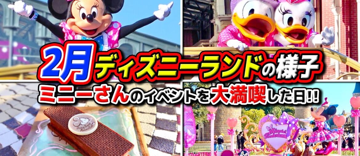 【2月ディズニー】ミニーのファンダーランドを大満喫!! / 東京ディズニーランド