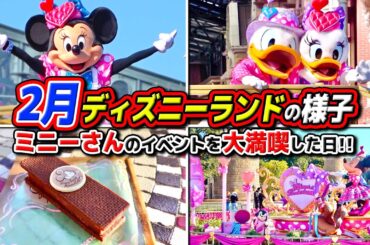 【2月ディズニー】ミニーのファンダーランドを大満喫!! / 東京ディズニーランド
