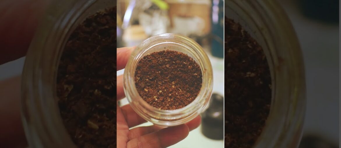 first AEROpress coffee  #youtubeshorts #coffee #firsttry