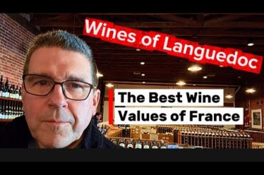 FIVE Must Try Wines from the South of France