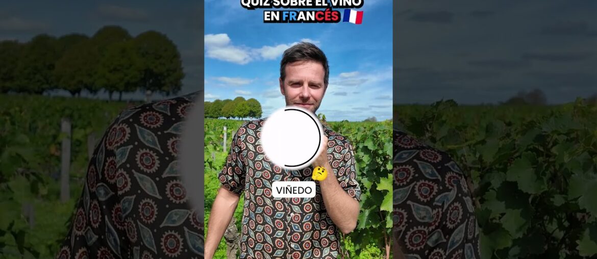 Francés para subir de nivel | ¿Cuánto sabes del vino en francés? 🇫🇷🍇 Francés para subir de nivel | ¿Cuánto sabes del vino en francés? 🇫🇷🍇