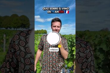 Francés para subir de nivel | ¿Cuánto sabes del vino en francés? 🇫🇷🍇