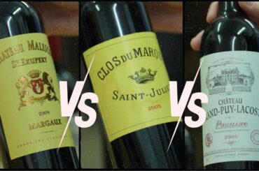 Three Left Bank Bordeaux — Aged and Affordable