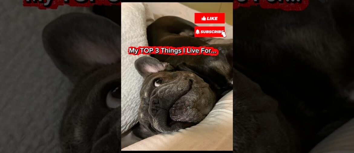 3 Things I Absolutely LOVE! (Wait for #3 🤪)