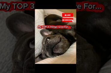 3 Things I Absolutely LOVE! (Wait for #3 🤪)