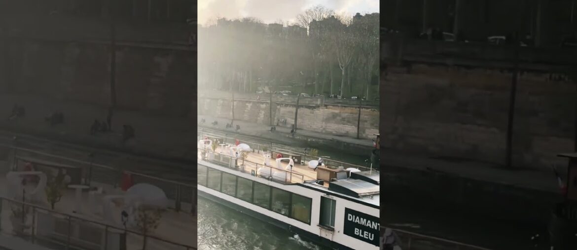 Paris dinner cruise #travel #shorts #trending #fyp