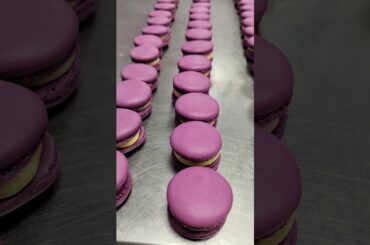 #French macaron Blueberry flavours👌👌👌🙏🙏