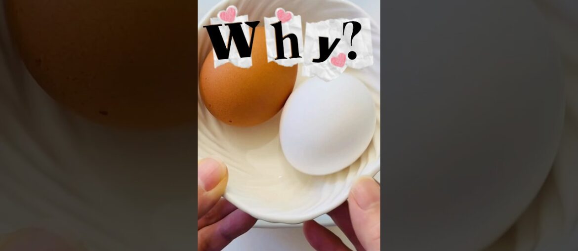 Why Brown Eggs Have Darker Yolks? Brown vs White Eggs Explained #food #foodie #shortvideo #viral