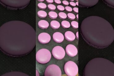 #French macaron🙏🙏🙏