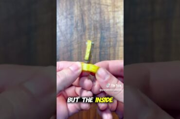 The Science of the Perfect French Fry 🍟 #food #cooking #recipe #lifehacks #science #satisfying #fyp