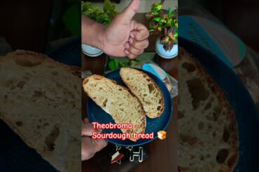 Theobroma - Sourdough bread #health