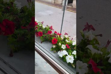 French Cafe in St Augustine FL ☕🏘️🌴