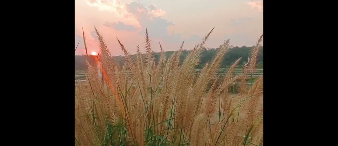 Ending the day with gratitude ❤️.