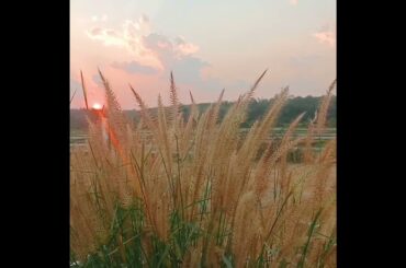 Ending the day with gratitude ❤️.