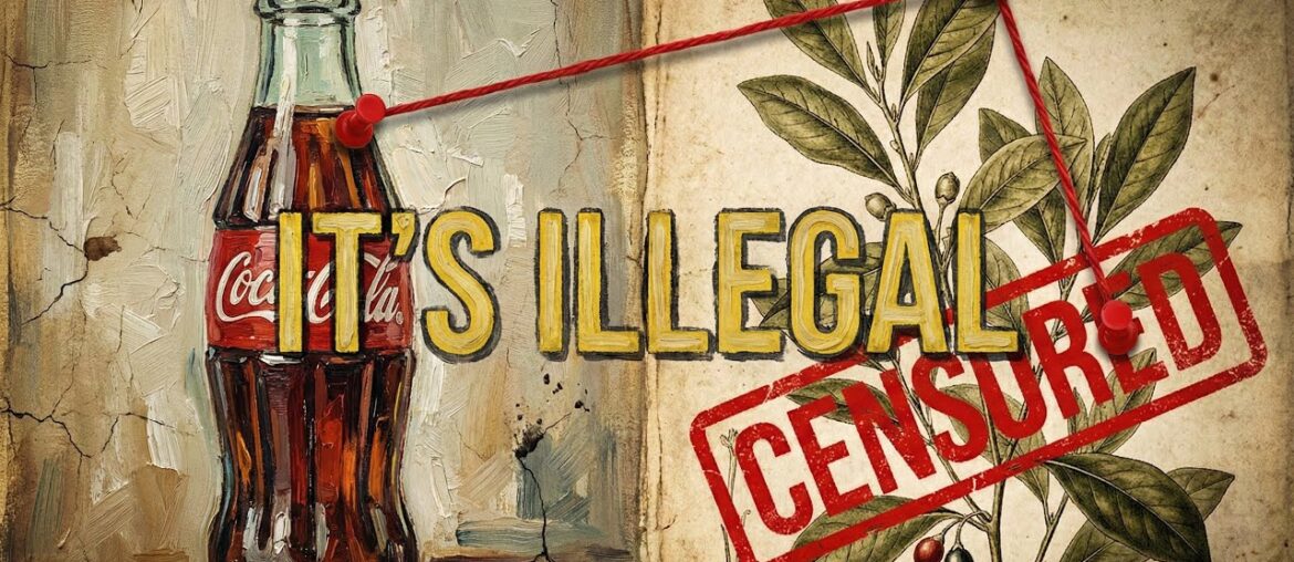 Why Coca-Cola Is The Only Company Allowed To Break The Law Why Coca-Cola Is The Only Company Allowed To Break The Law