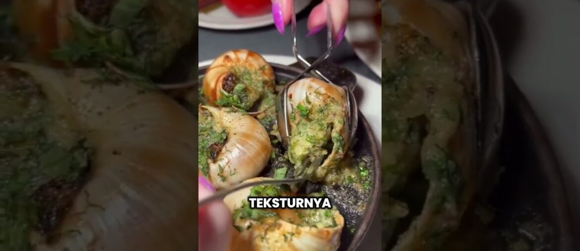 Escargot: Hidangan Siput Legendaris Khas Prancis yang Mewah Escargot: Hidangan Siput Legendaris Khas Prancis yang Mewah