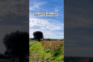YOU HAVE MY HEART, Saint-Émilion! Wandering through the sun-drenched vineyards! #shorts #france