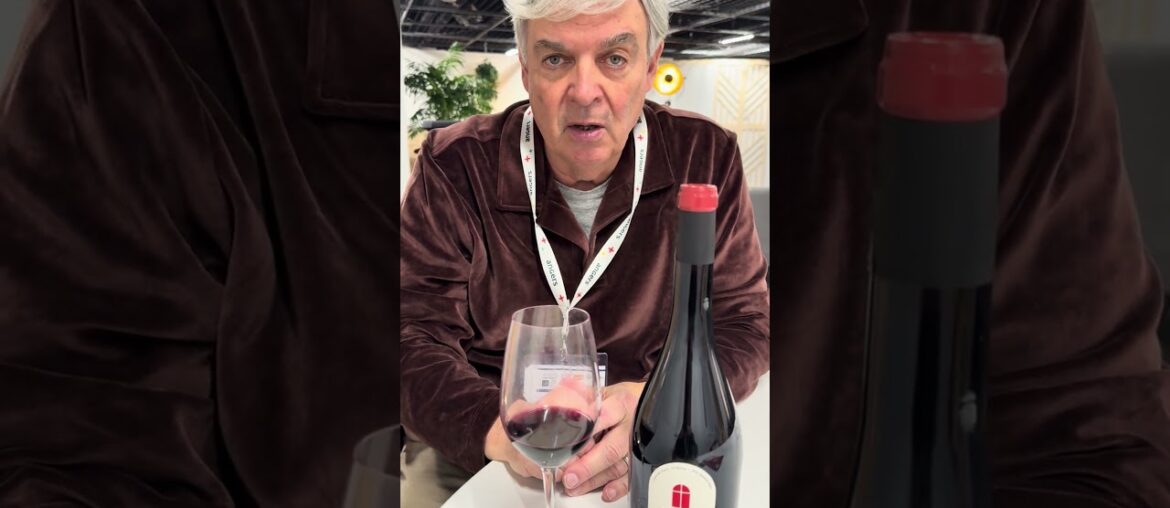 Appellation Saumur Puy Notre Dame in Loire Valley of France