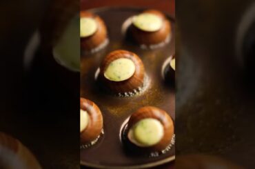 classical french escargots