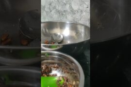 Almond Rocks made at home quick and easy french recipe high protein less chocolatey#frenchrecipe