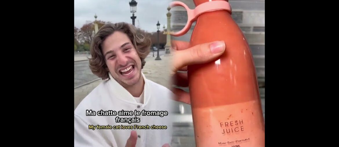 "POV: You studied French with the green howl 🥲 #French #Duolingo"