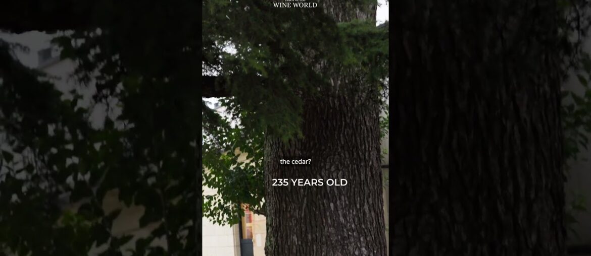 FULL FILM on YouTube – CHATEAU DALEM – French revolution