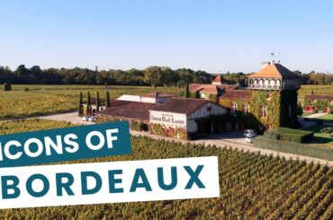 Two Icons of Bordeaux Wine 🍷 | Sigalas Rabaud & Smith Haut Lafitte