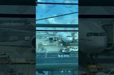 Emirates Wine Reviews From a Rrecent Trip from Auckland to Rome and Back #dubaiairport #dcamw