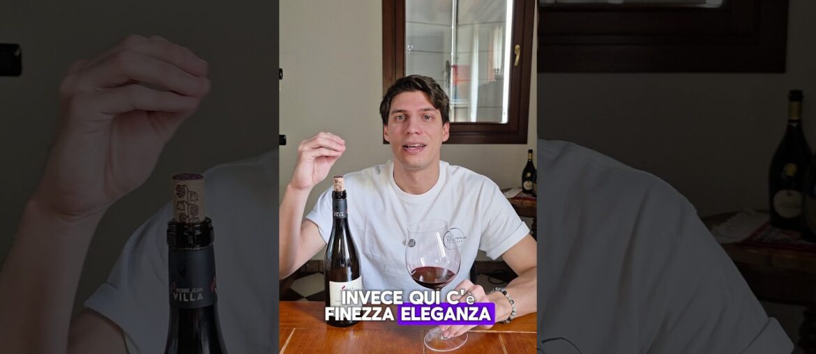 I migliori Syrah del mondo vengono dalla Francia 🇫🇷🍷🌍 I migliori Syrah del mondo vengono dalla Francia 🇫🇷🍷🌍