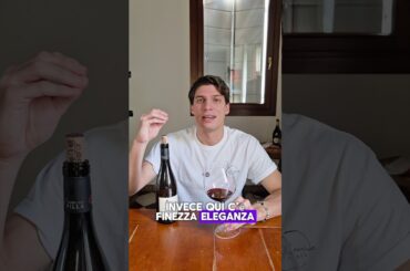 I migliori Syrah del mondo vengono dalla Francia 🇫🇷🍷🌍