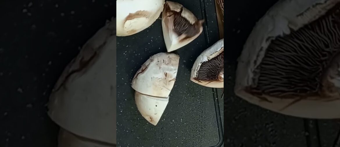 Creamy French Comfort Food 🇨🇵 Classic Veal Blanquette