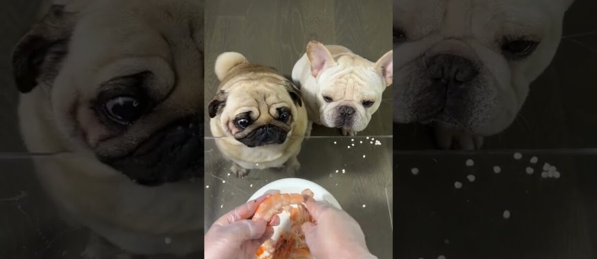 Charming Guys Dine Out: Hua Hua's Okra Gathering! Bago French Cuisine