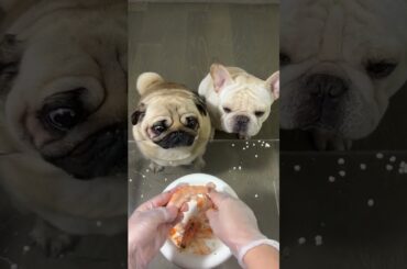 Charming Guys Dine Out: Hua Hua's Okra Gathering! Bago French Cuisine